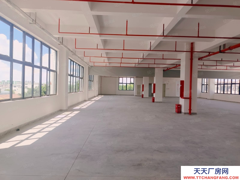 (出租) 石灣高新園區低價倉庫廠房出租30000平,大小可分租可辦環評