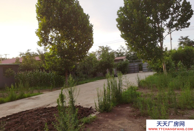 邢臺 隆堯 (出租) 總4畝地。原來做環保設備