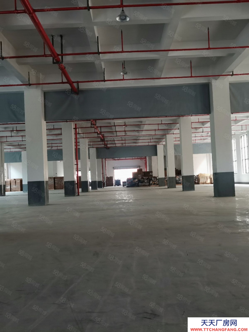 (出租) 出租陽光樓上3千平6千平9千平可以分租