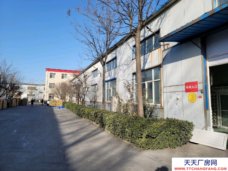 邢臺 任縣 (出租) 廠房,隨時看房,隨時聯(lián)系我