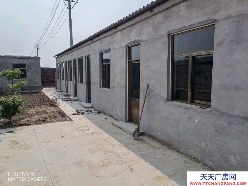 邢臺(tái) 任縣  (出租) 整院出租，交通方便！水電齊全！