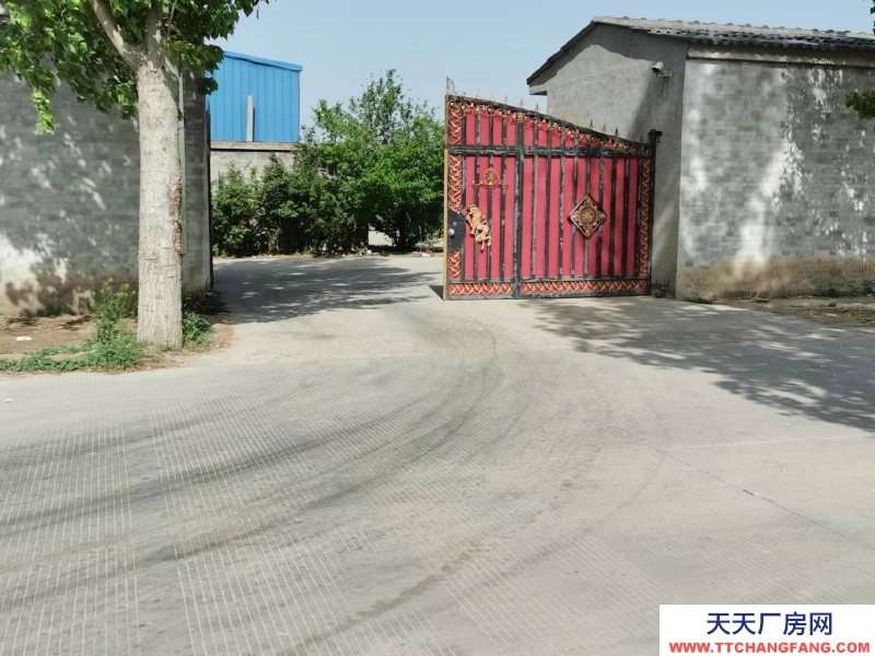 邢臺 任縣  (出租) 大豆村村北，總面積6畝，車間，庫房，鋼棚結構共1100平方