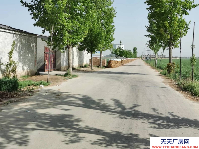 邢臺 任縣  (出租) 大豆村村北，總面積6畝，車間，庫房，鋼棚結構共1100平方