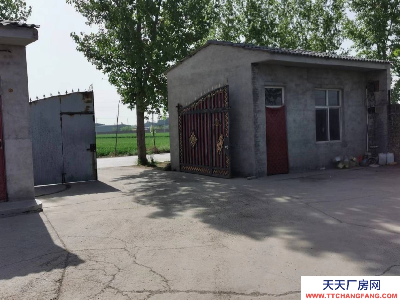 邢臺 任縣  (出租) 大豆村村北，總面積6畝，車間，庫房，鋼棚結構共1100平方