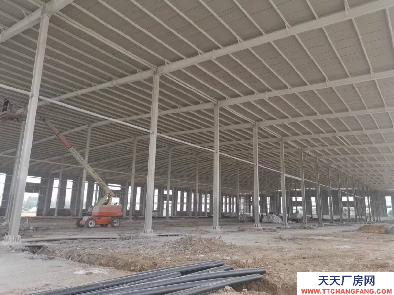邢臺 任縣  (出售) 任縣單層廠房高度12米可上10頓天車