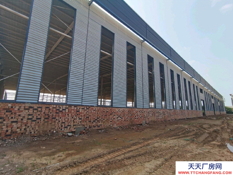 邢臺 任縣 (出售) 任縣1000-10000平米可自由分割單層廠房,層高12米