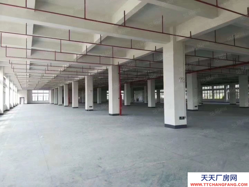 (出租) 惠州博羅龍溪電鍍基地附近工業園15萬標準廠房招租(可整租分租)