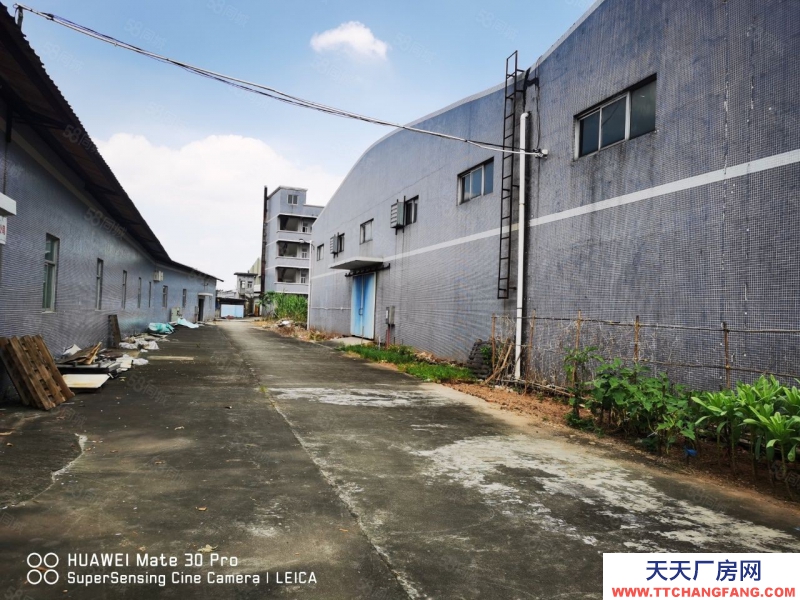 (出租) 惠州博羅新出超大空地單一層廠房15000空地15000，價格超低