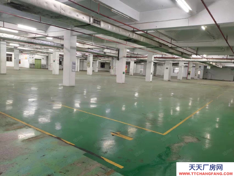 (出租) 惠州博羅龍華廠房出租臺鈴電動車配件生產基地旁可辦環評大小分租