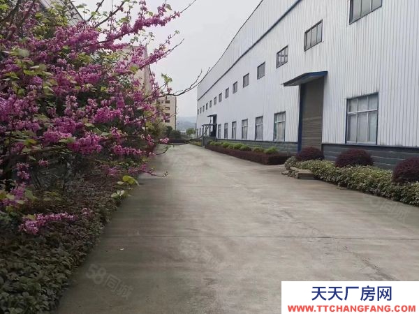 懷化市中方區標準廠房出租 門口空地超大 離高速路口路近