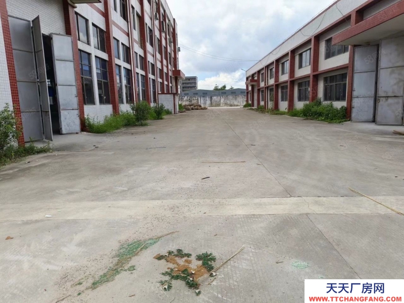 (出租) 惠州博羅石灣獨院單一層加標準廠房4900平,現成裝修