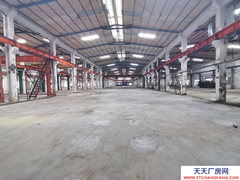 (出租) 惠州博羅生產(chǎn)加工羅陽洲際工業(yè)園獨院110000平鋼構(gòu)廠房可分租