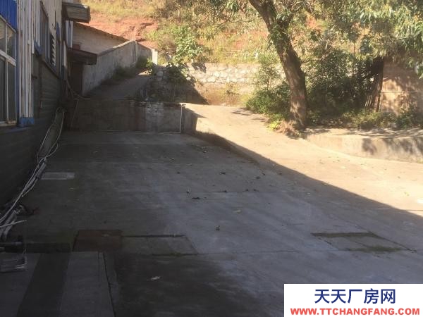懷化市芷江區(qū) 懷化市公坪工業(yè)園鋼架廠房出租面積1500平米