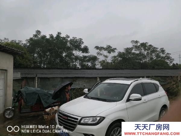 懷化市芷江區(qū)廠房出售 養(yǎng)豬場地,水電住宿廚房等齊全