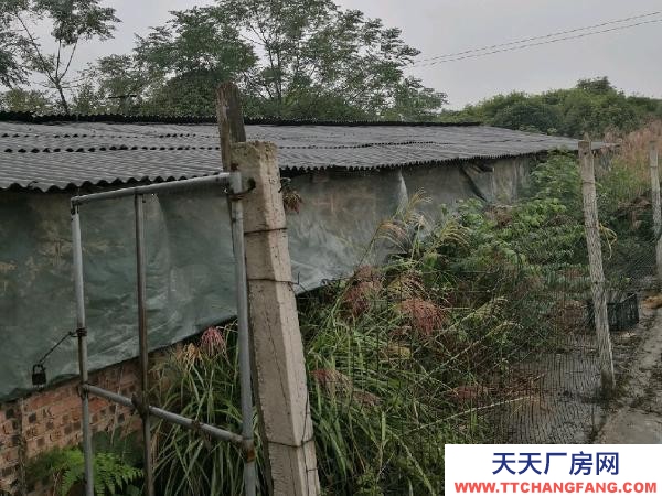 懷化市芷江區(qū)廠房出售 養(yǎng)豬場地,水電住宿廚房等齊全