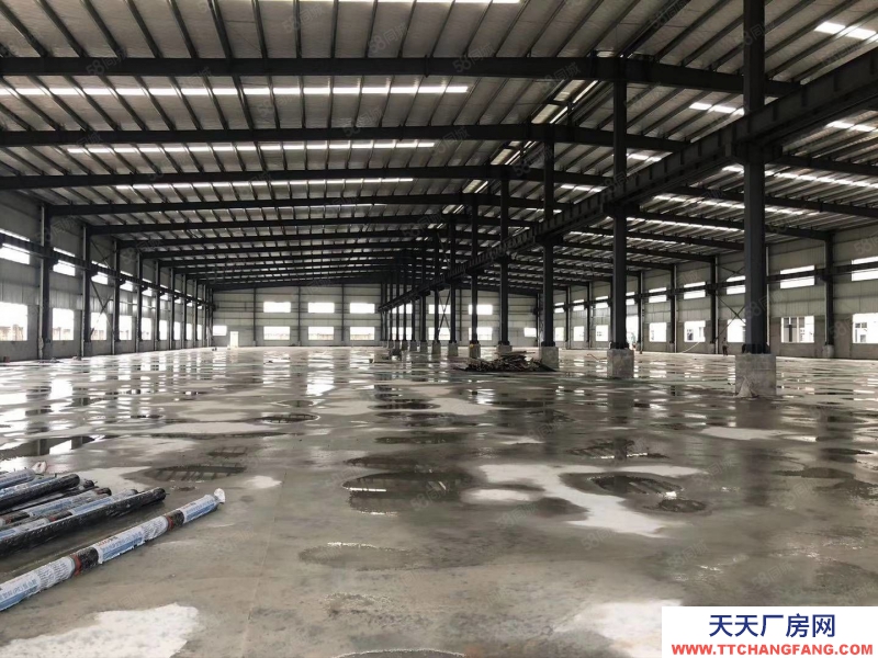 (出租) 惠州市惠東白花大型工業區原房東獨院鋼構廠房出租,500起分適合重工業