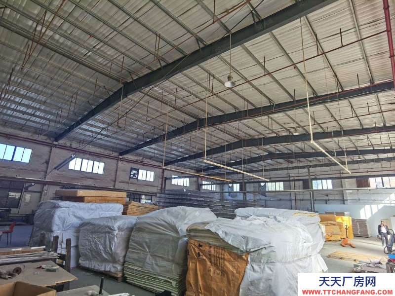 (出租) 惠州惠東縣白花國道旁獨棟滴水八米高鋼結構廠房3300平方低價出租