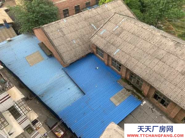 永州市冷水灘區(qū)廠房出租 鳳凰路與陶源路十字交叉路口地段