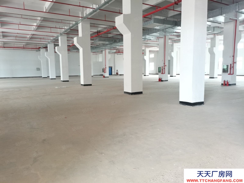(出租) 惠州惠陽區(qū)低價大型成熟工業(yè)200000平米廠房出租