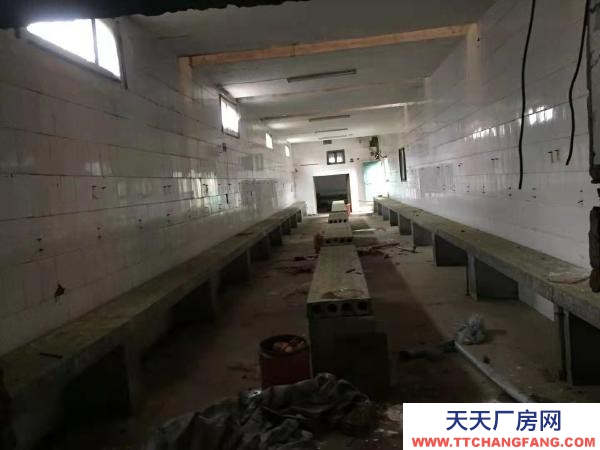 永州市冷水灘區(qū)廠房出租 水泥結(jié)構(gòu)即可做倉庫又可以做廠房 占地3000多的平米。