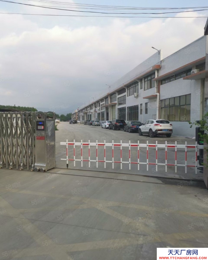 (出租) 惠州惠東9米高單一層廠房11500平方,可以分租重工業(yè)廠房