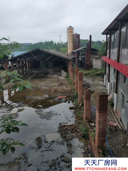 永州市冷水灘區(qū)廠房出售 開廠房!860萬17畝地這個才是真實情況可進出拖掛車!