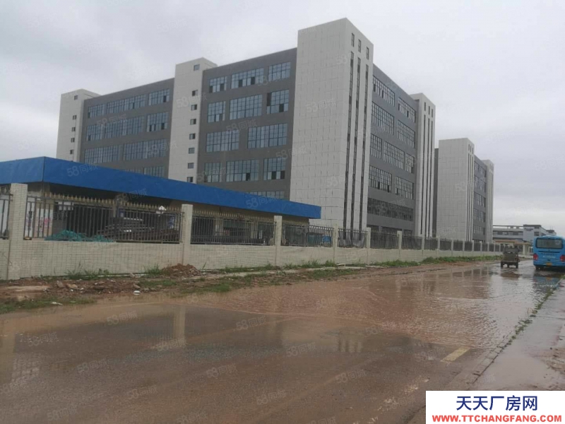 (出租) 惠州市龍門縣產(chǎn)業(yè)園轉(zhuǎn)移政府扶持廠房出租