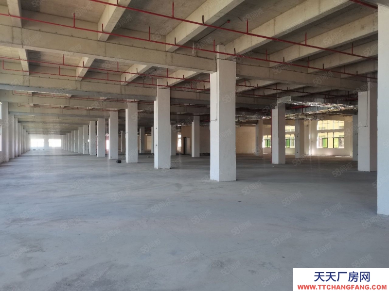 (出租)惠州龍門縣77000平政府扶持可做污染行業