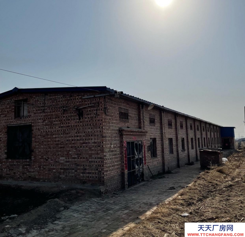 (出租) 養雞，養豬，養羊， 養牛，