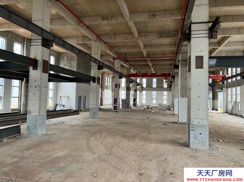 (出售) 有機場有港口，近高鐵，高速口邊的獨立產權房出售