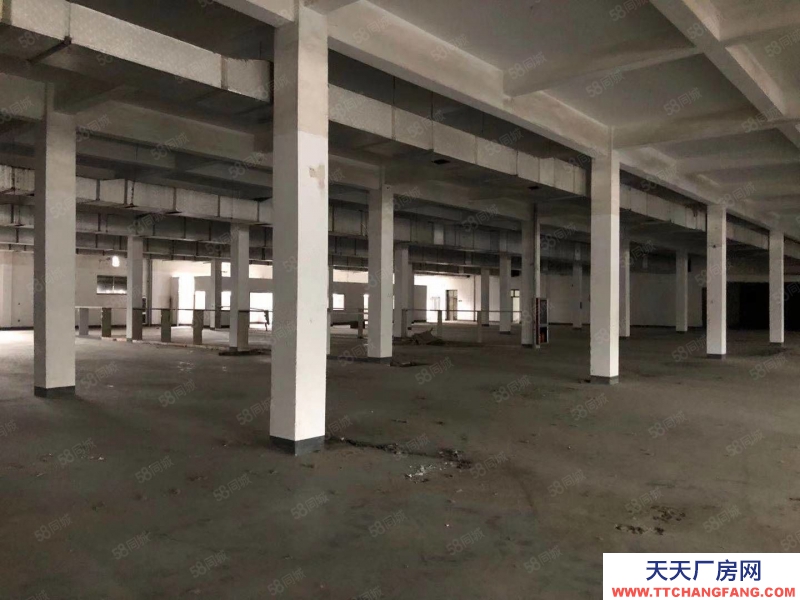 紹興市越城(出租) 皋埠獨棟兩層廠房5000方出租，大車方便，通道大
