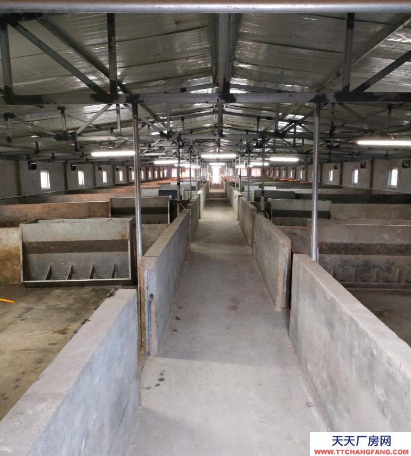 (出售) 養豬場，現有豬棚一個面積為900平米