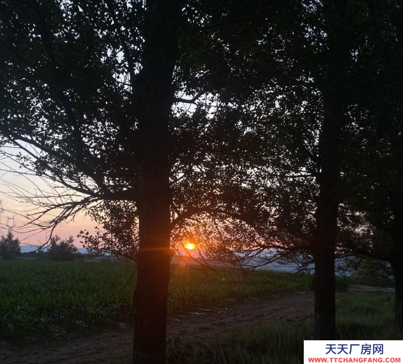 (出租) 只短租倉庫大小都有，園區(qū)內(nèi)有安保看守