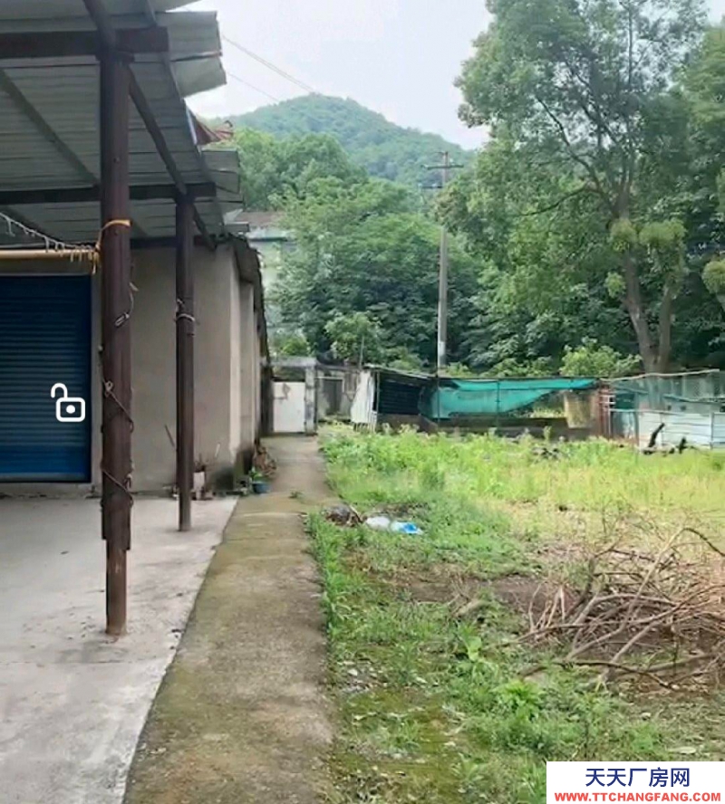紹興市越城(出租) 九里倉庫3畝多水電齊全全