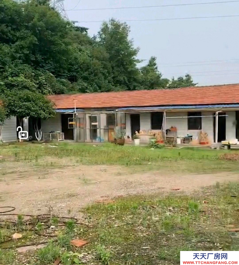 紹興市越城(出租) 九里倉庫3畝多水電齊全全