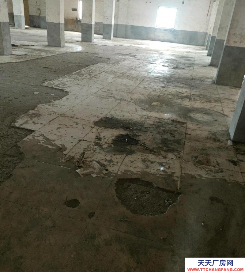 紹興市越城(出租) 轉租，可做小件企業，屬于個人