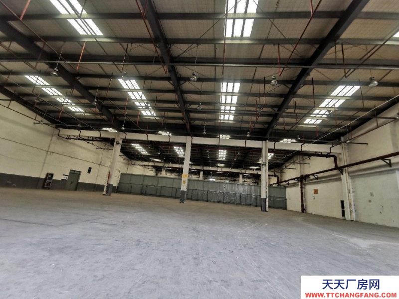 紹興市越城(出租) 一樓1300平方平面?zhèn)}庫，600方立體庫帶裝卸月臺(tái)