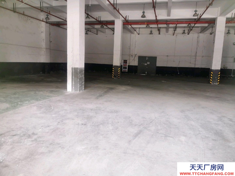 紹興市越城(出租) 一樓1300平方平面?zhèn)}庫(kù),600方立體庫(kù)帶裝卸月臺(tái)