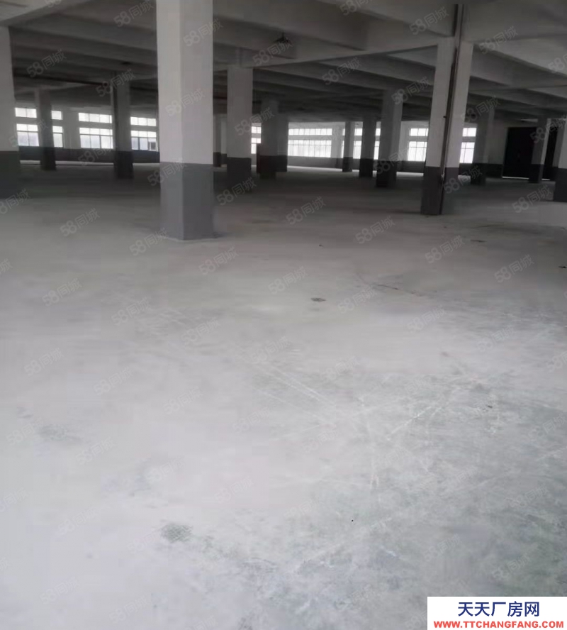 紹興市越城(出售) 皋埠廠房比較新 大馬路邊地理位置佳 性價比高