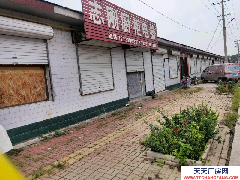 邢臺 南和 (出租) 門市，院子，廚房，臥室，客廳。