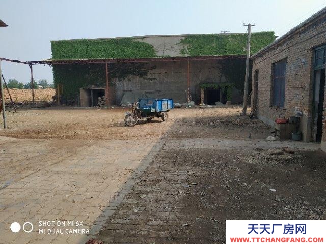 邢臺 寧晉 (出租) 出租廠地 有車間庫房宿舍彩鋼棚預(yù)制菜