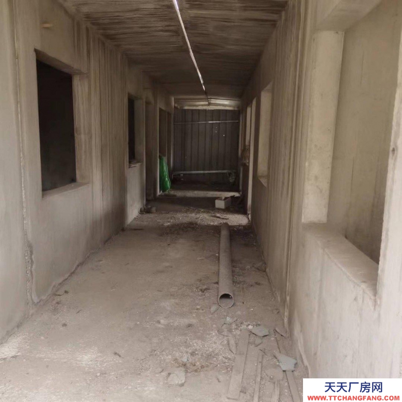 邢臺 寧晉 (出售) 二手水泥房 3.3×6