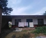 (出租) 濮陽臺前出租大院子送一年租金