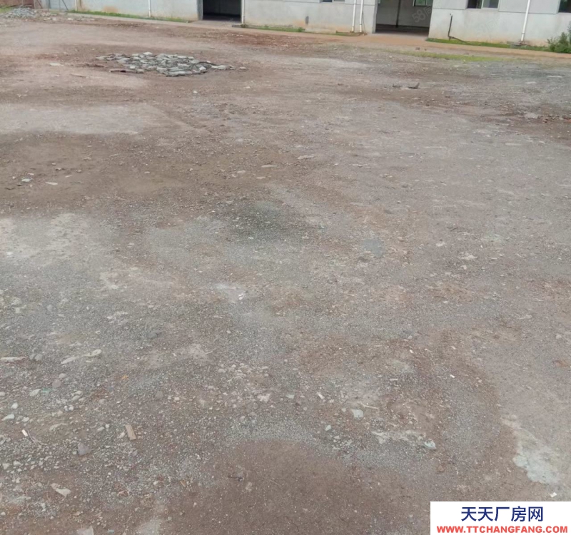 紹興市新昌(出租) 房東優惠出租 廠房 倉庫1300平方 空場地3000平方