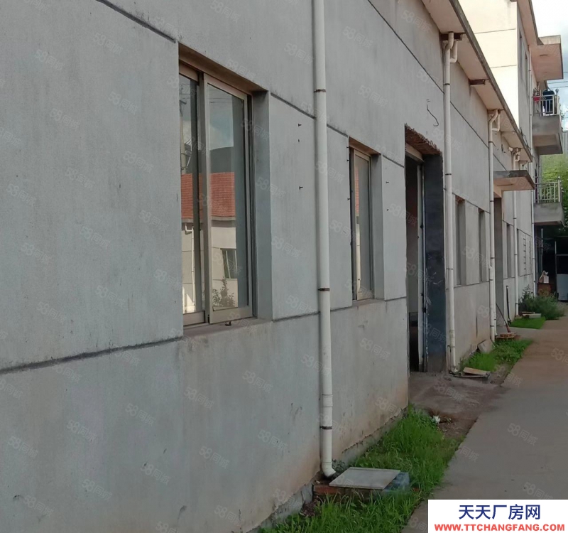 紹興市新昌(出租) 房東優惠出租 廠房 倉庫1300平方 空場地3000平方