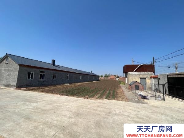 道里太平鎮附近5000平茶葉廠房出售