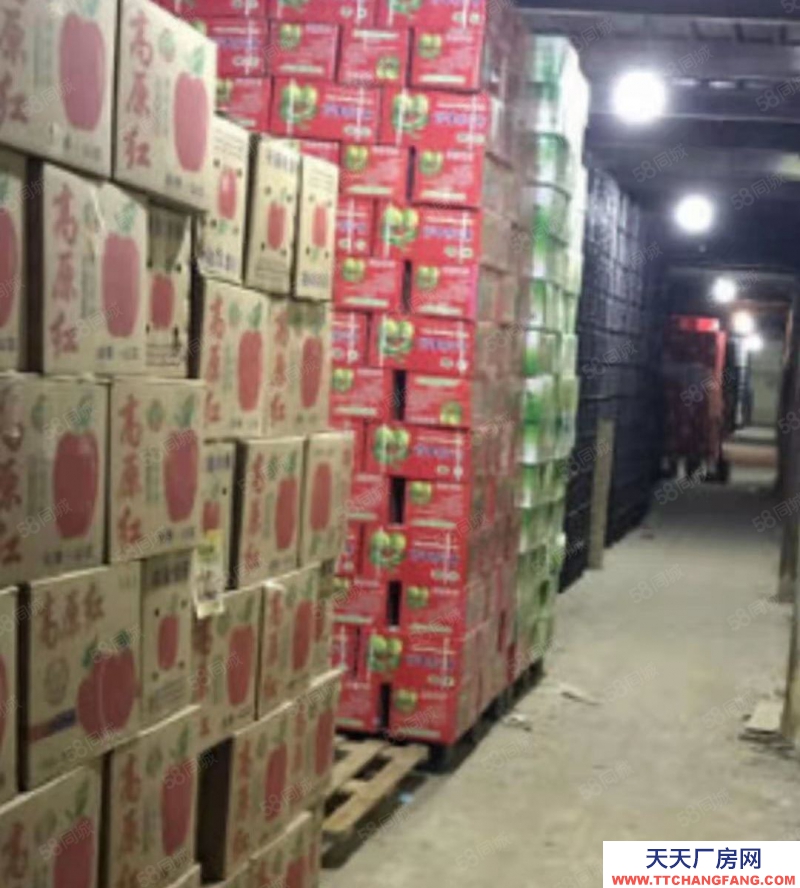 道里庫房冷庫恒溫庫暖庫廠房出租