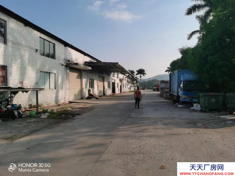 (出租) 惠州惠陽淡水白云六路南站新城附近8米高鋼結構出租生產等行業無限制