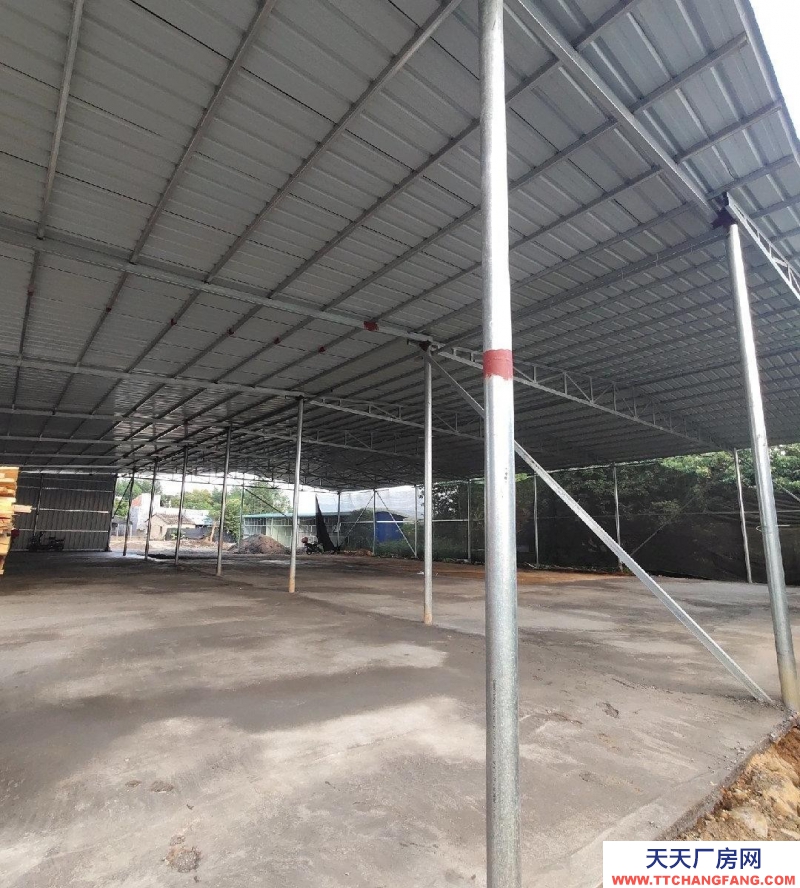 (出租) 惠州惠東帶三箱電，員工宿舍，水電齊全，可做木料倉庫