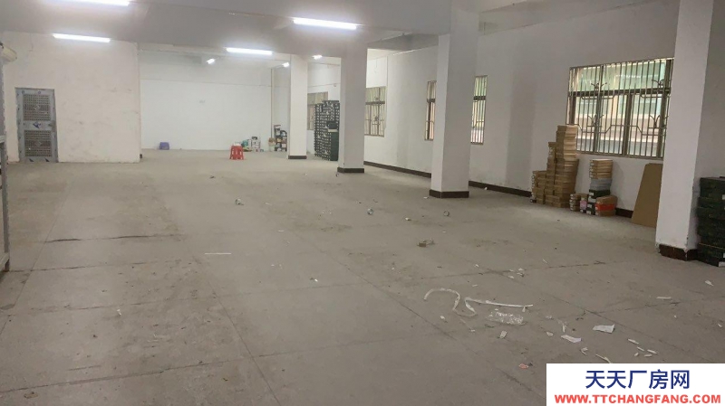 (出租) 惠州惠東交通便利 光線充足 可做淘寶倉庫 直播辦公